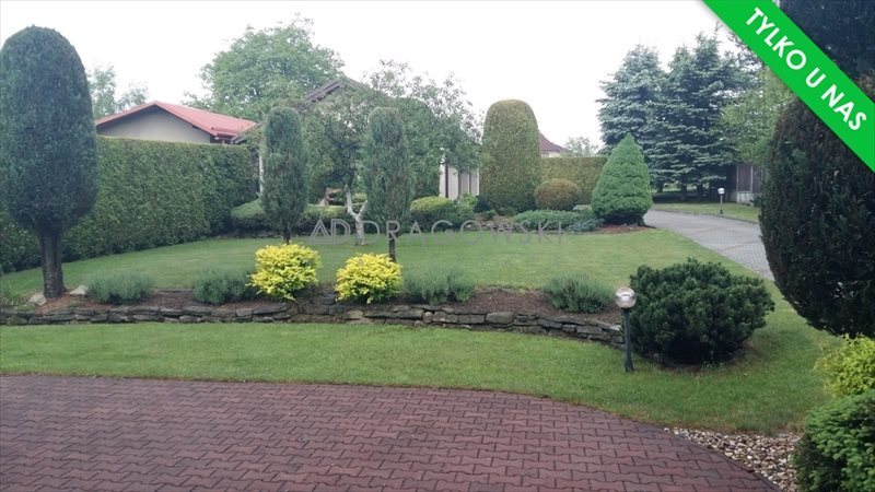 Dom na sprzedaż Jaworze 240m2 Foto 1 Dom na sprzedaż Jaworze 240m2 Foto 1