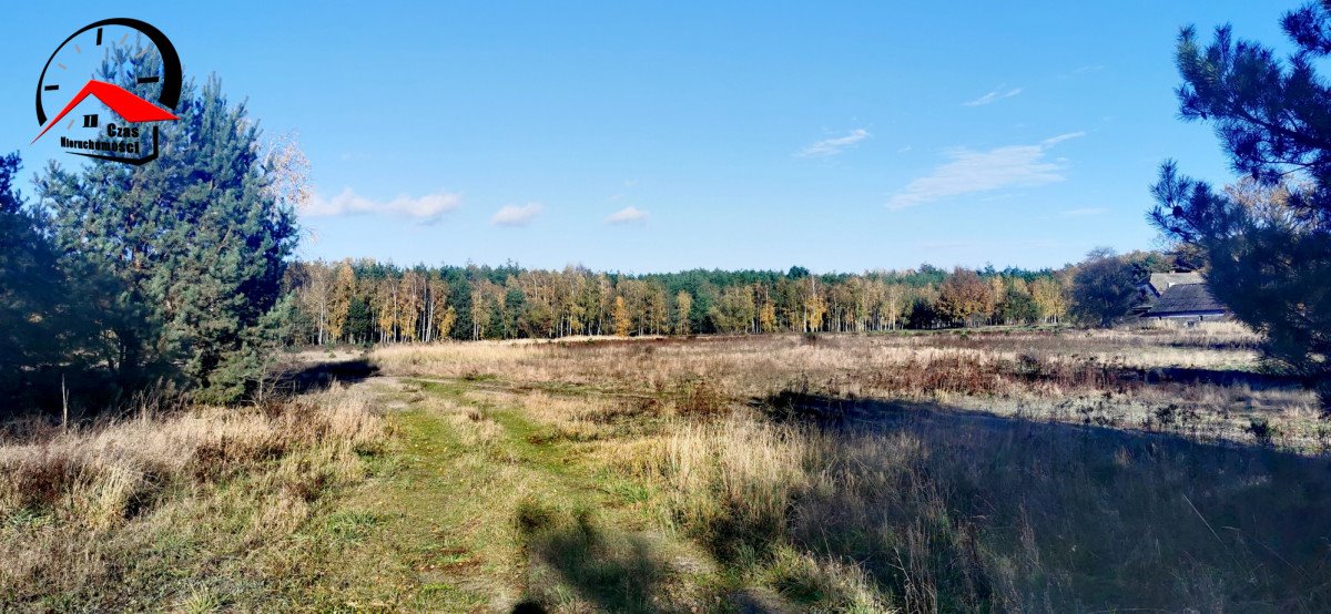 Działka gospodarstwo rolne na sprzedaż Gołąbki  138 960m2 Foto 11