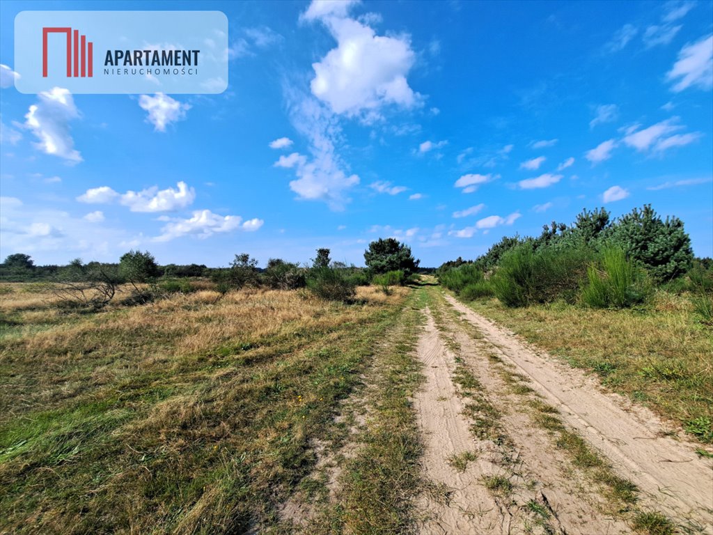 Działka gospodarstwo rolne na sprzedaż Szczenurze  10 000m2 Foto 3