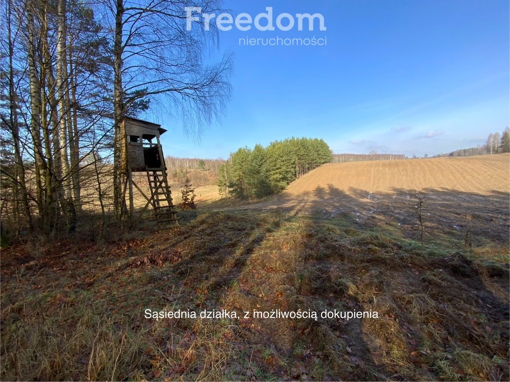 Działka siedliskowa na sprzedaż Szczodrowo  30 600m2 Foto 9