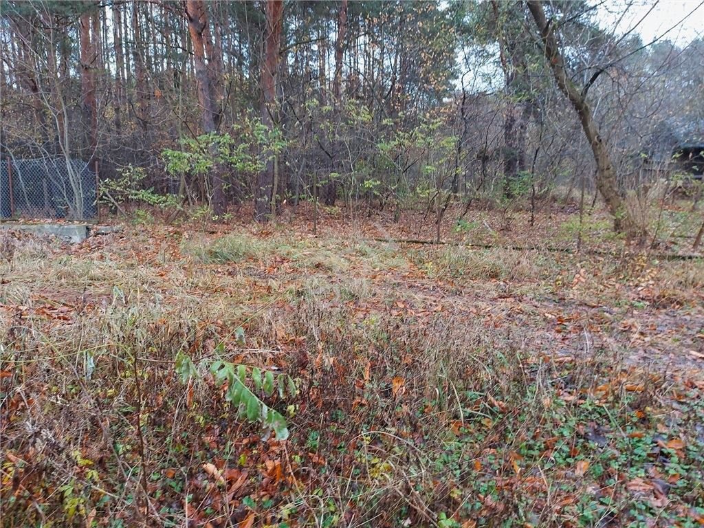 Działka budowlana na sprzedaż Józefów  1 501m2 Foto 5