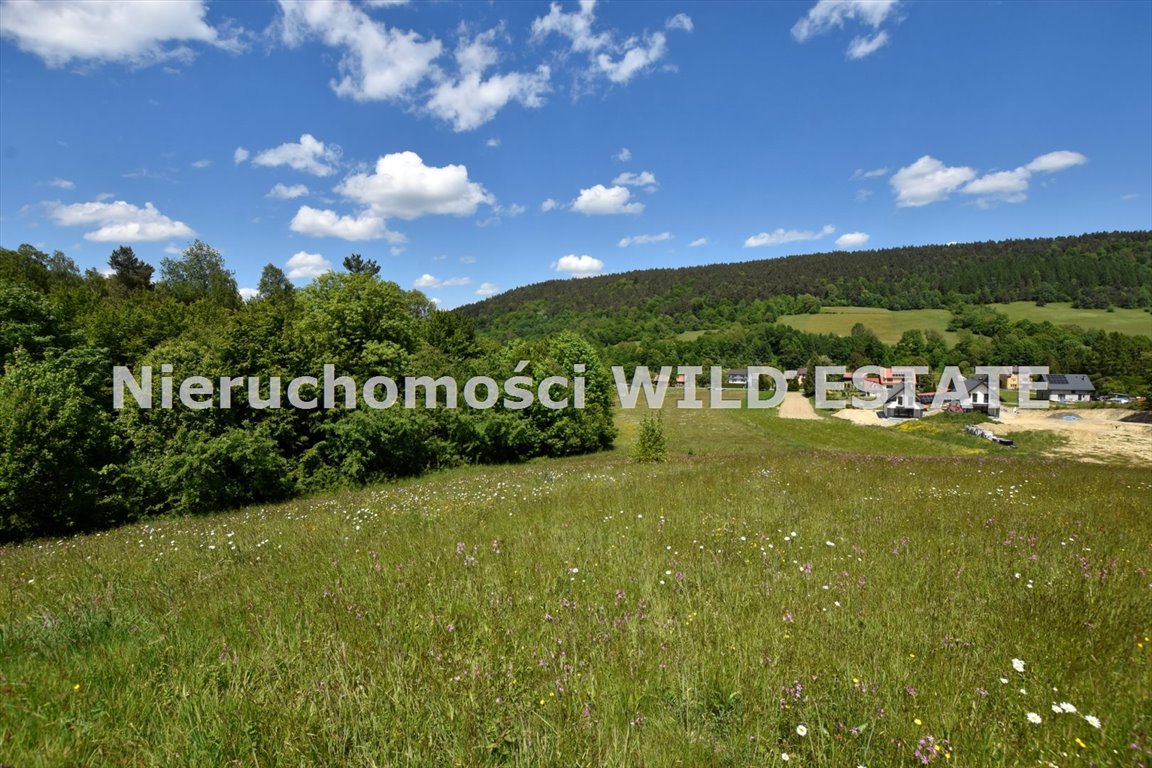 Działka 52,8 ha z decyzją o zabudowie i dostępem do mediów Paszowa  52 850m2 Foto 1