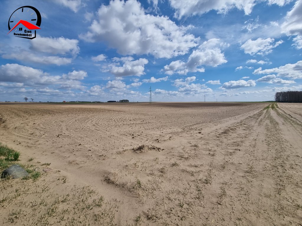 Działka gospodarstwo rolne na sprzedaż Barcin-Wieś  19 500m2 Foto 5