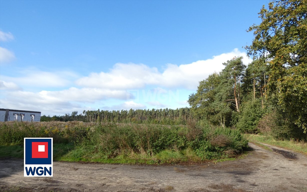 Działka budowlana na sprzedaż Ostrów Wielkopolski, Pruślin, Pruślin  943m2 Foto 3