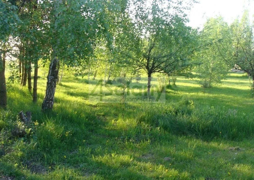 Działka budowlana 3023 m² z WZ, prąd i woda, blisko infrastruktury Grodzisk Mazowiecki  3 023m2 Foto 1