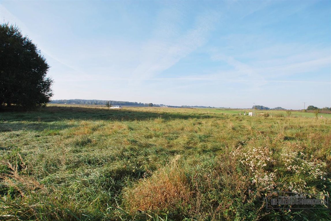 Działka budowlana na sprzedaż Szczecinek, Raciborki, Raciborki, Miodowa  1 552m2 Foto 5