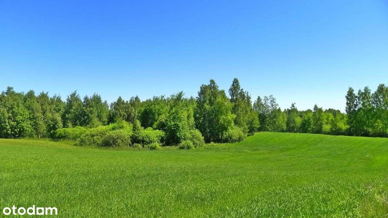 Działka rolna na sprzedaż Krasnopol  3 000m2 Foto 1