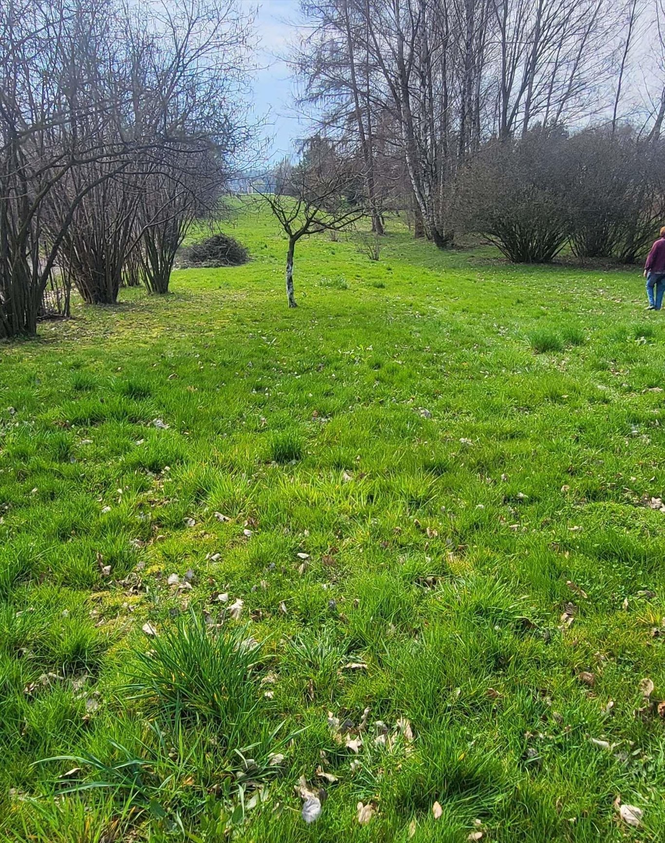 Działka budowlana na sprzedaż Rączna  2 300m2 Foto 1