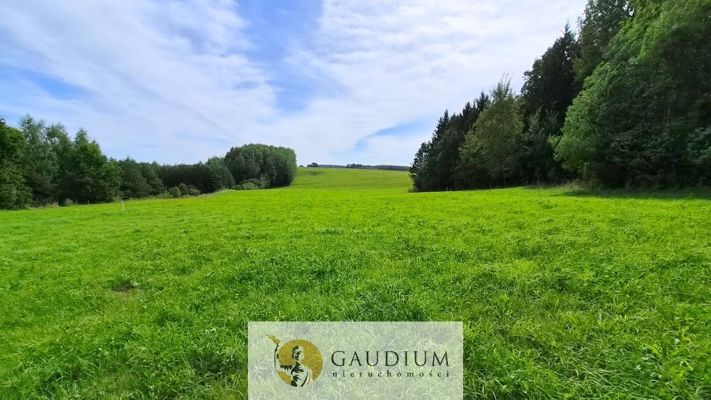 Działka w Warmii z lasem i widokiem na naturę. Miejska Wola  8 441m2 Foto 1