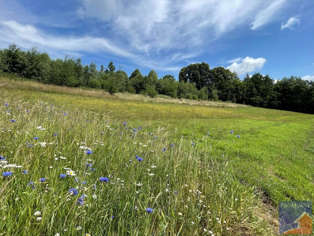 Działka inna na sprzedaż Stare Rybie  5 600m2 Foto 5