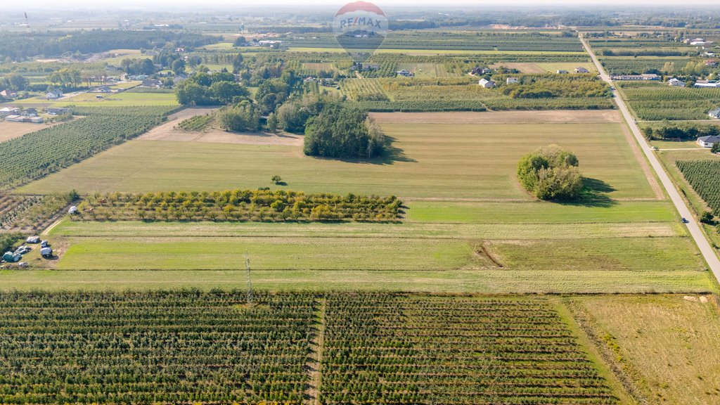 Działka rolna na sprzedaż Suchodół  11 600m2 Foto 2