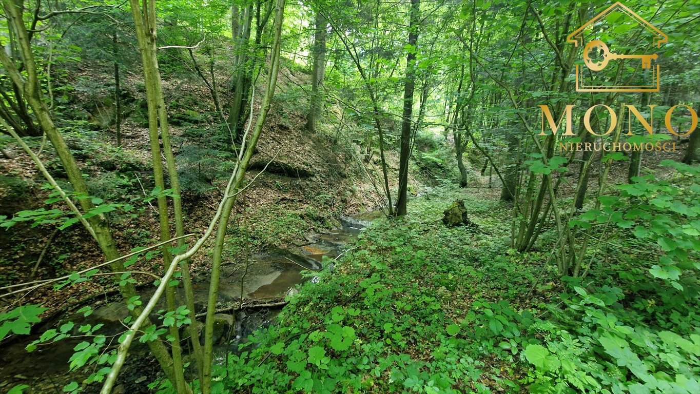 Działka budowlana na sprzedaż Wojakowa  2 000m2 Foto 11