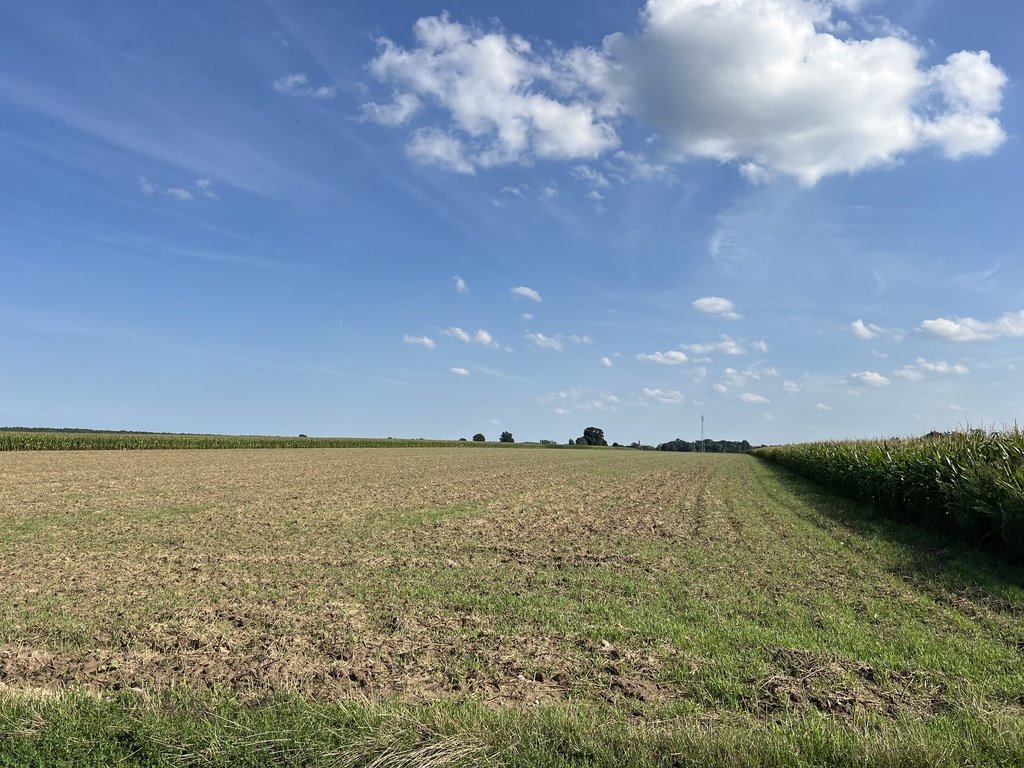 Działka inna na sprzedaż Opole, Malina  2 500m2 Foto 1