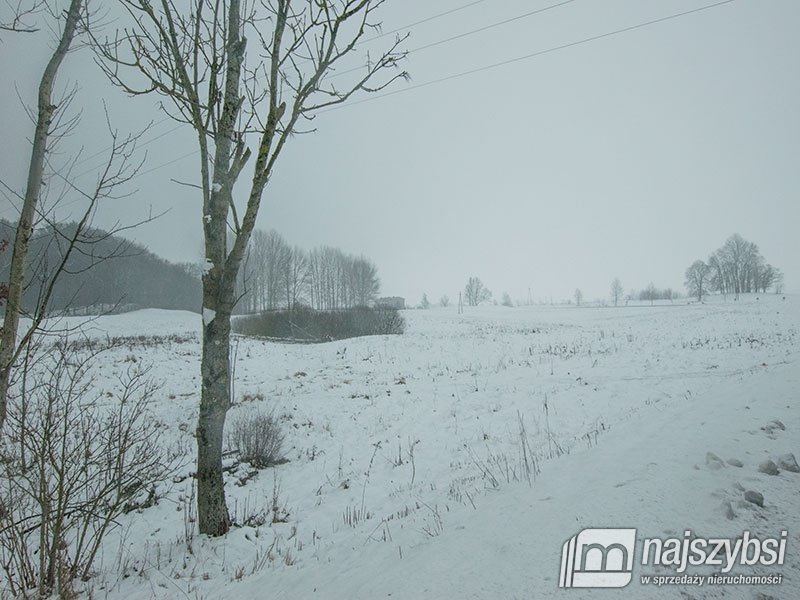 Lokal użytkowy na sprzedaż Storkowo, Centrum  3 670m2 Foto 23