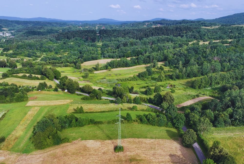 Działka rolna na sprzedaż Jankowce  2 900m2 Foto 5