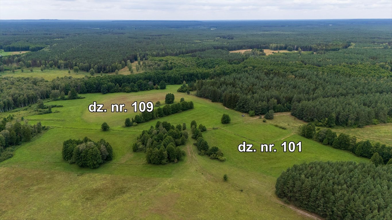 Działka rolna na sprzedaż Rekownica  120 300m2 Foto 3