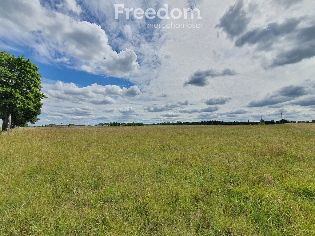 Działka inwestycyjna na sprzedaż Horbów-Kolonia  17 785m2 Foto 7