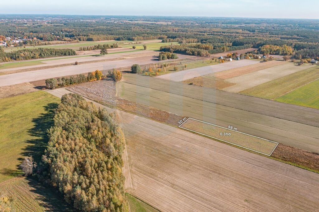 Działka budowlana na sprzedaż Krajęczyn  3 000m2 Foto 1