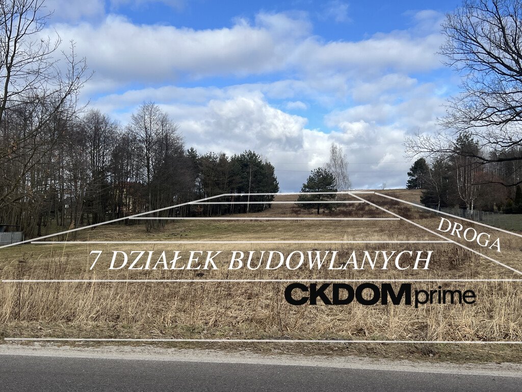 Działka 1 ha w Rytwianach pod inwestycję, podział na 7 działek Rytwiany  10 000m2 Foto 1