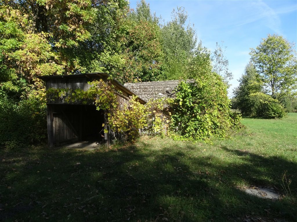 Działka inna na sprzedaż Osęka 7 600m2 Foto 1 Działka inna na sprzedaż Osęka 7 600m2 Foto 1