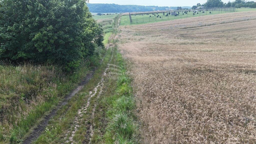 Działka siedliskowa na sprzedaż Boża Wola  9 100m2 Foto 10