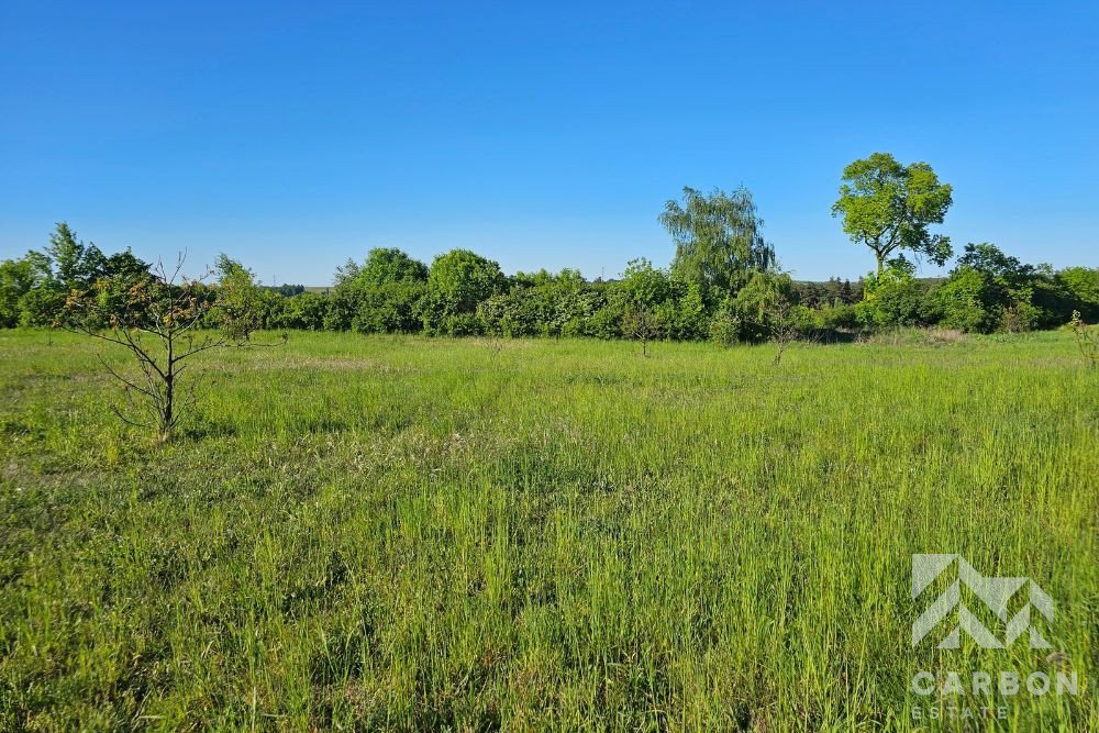 Działka budowlana na sprzedaż Rogoźnik, Klonowa  1 742m2 Foto 1