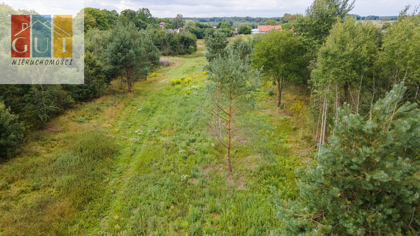 Działka budowlana na sprzedaż Elgnówko  1 200m2 Foto 7