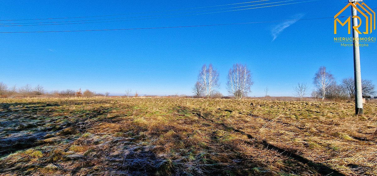 Działka budowlana na sprzedaż Krzeczów  850m2 Foto 7