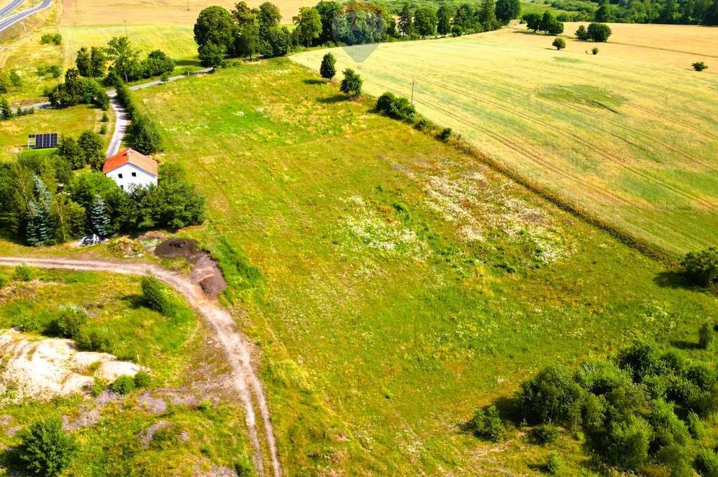 Działka rolna na sprzedaż Witramowo  2 056m2 Foto 3