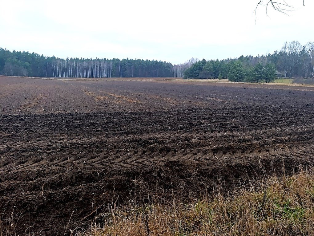 Działka 3694 m² z warunkami zabudowy, blisko Narew Narew  3 694m2 Foto 1