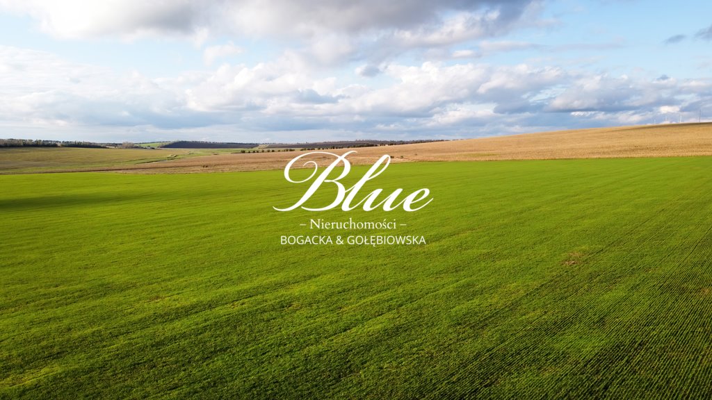 Działka rolna na sprzedaż Karwowo  3 003m2 Foto 1