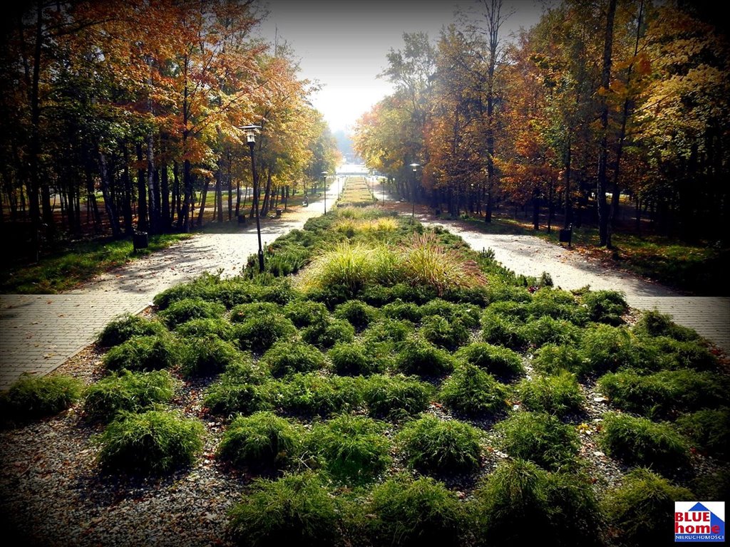 Mieszkanie dwupokojowe na wynajem Wojkowice  51m2 Foto 12