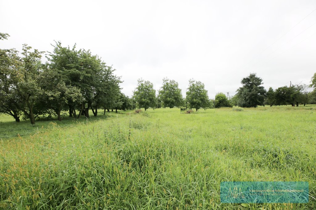 Działka budowlana na sprzedaż Malawa  2 200m2 Foto 3