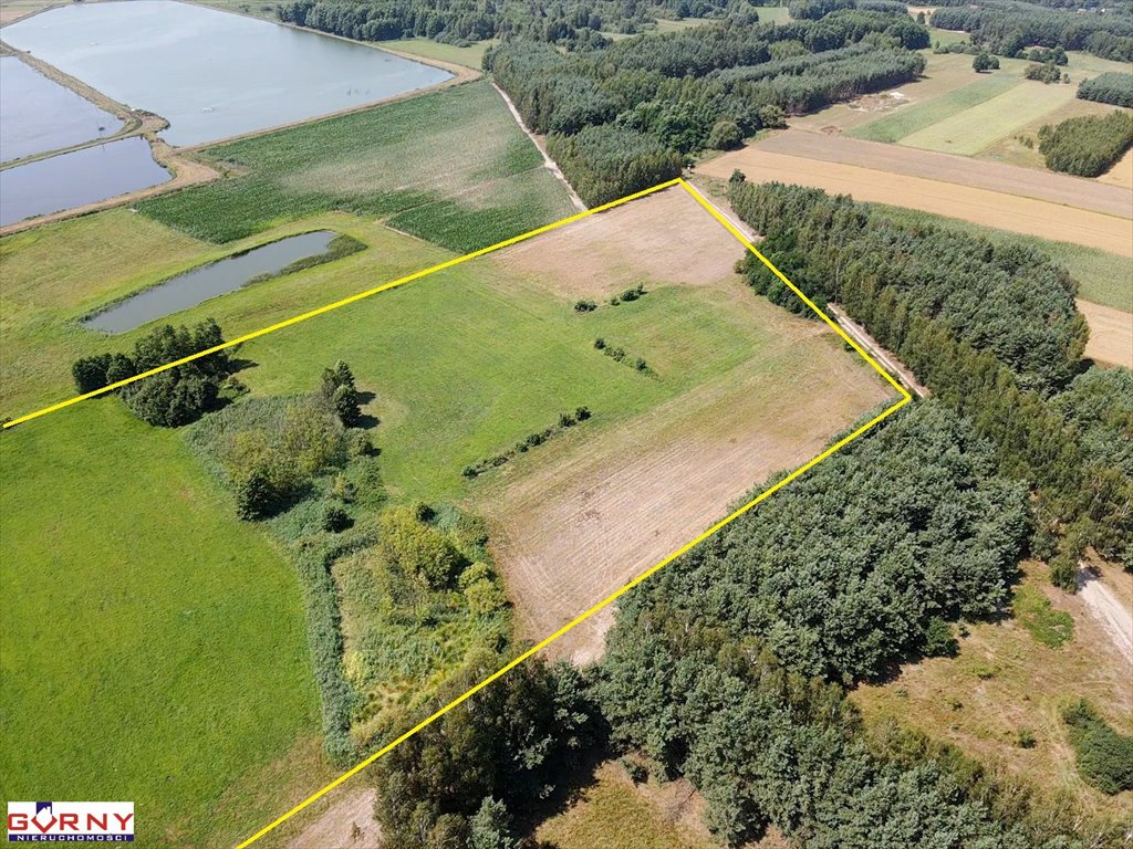 Działka inna na sprzedaż Mierzyn  32 000m2 Foto 2