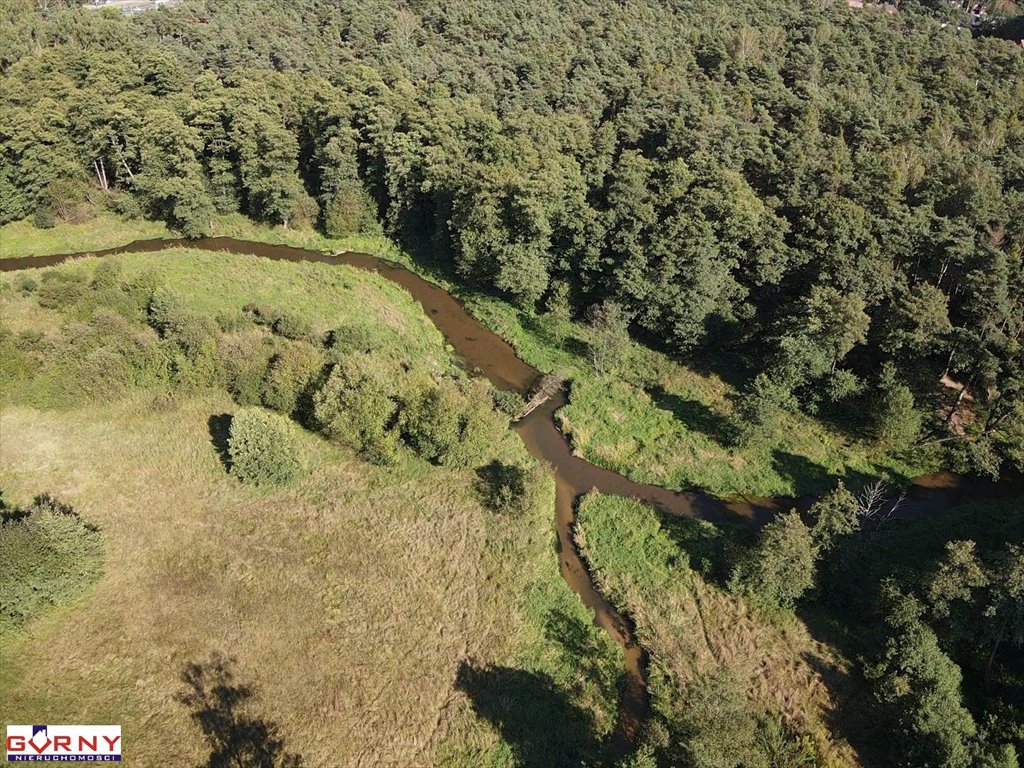 Działka inna na sprzedaż Kałek  5 000m2 Foto 6