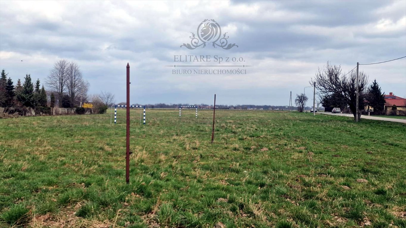 Polecam dużą działkę 3000 m² w Sokolnikach pod Kątami Wrocławskimi: Sokolniki Sokolniki