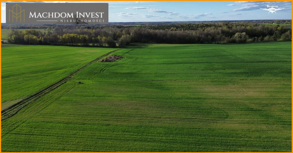 Działka 3000 m² z warunkami zabudowy - Bory Tucholskie Bramka  3 020m2 Foto 1