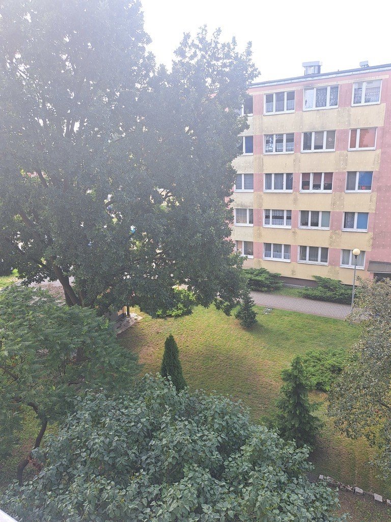 Mieszkanie dwupokojowe na wynajem Grudziądz  32m2 Foto 1