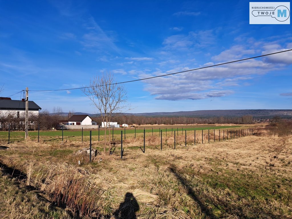 Działka budowlana na sprzedaż Górno, Krajno Zagórze  1 215m2 Foto 4