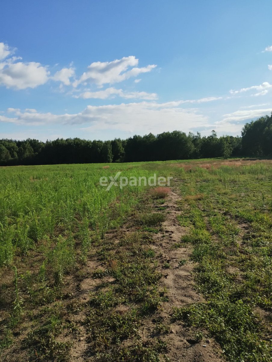 Działka rolna na sprzedaż Blinno  15 000m2 Foto 5