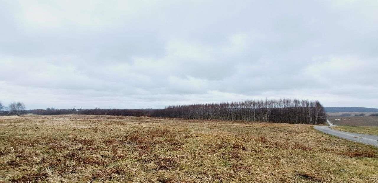 Działka siedliskowa na sprzedaż Wola Kalinowska, ul. Kaliski  3 600m2 Foto 2