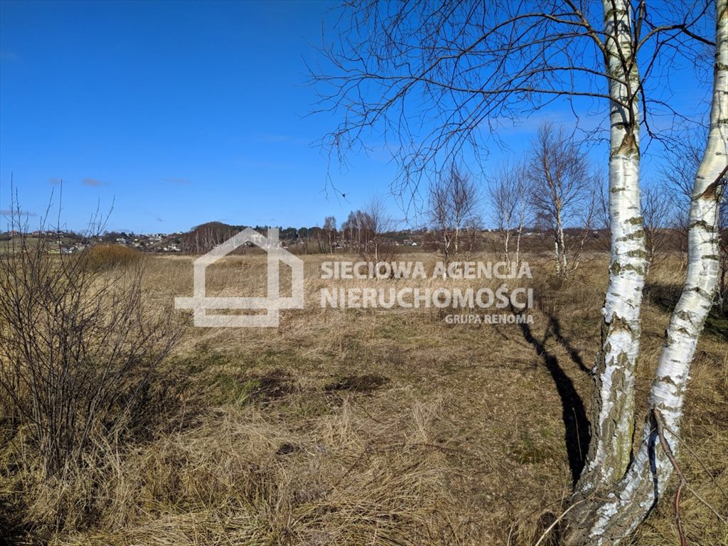 Działka rolna 1,74 ha z dostępem do rzeki i terenem wypasu Moście Błota  17 400m2 Foto 1