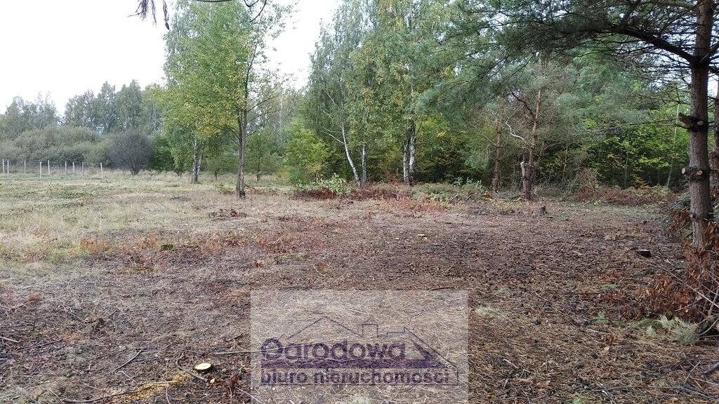 Działka budowlana na sprzedaż Stara Wieś  1 000m2 Foto 1