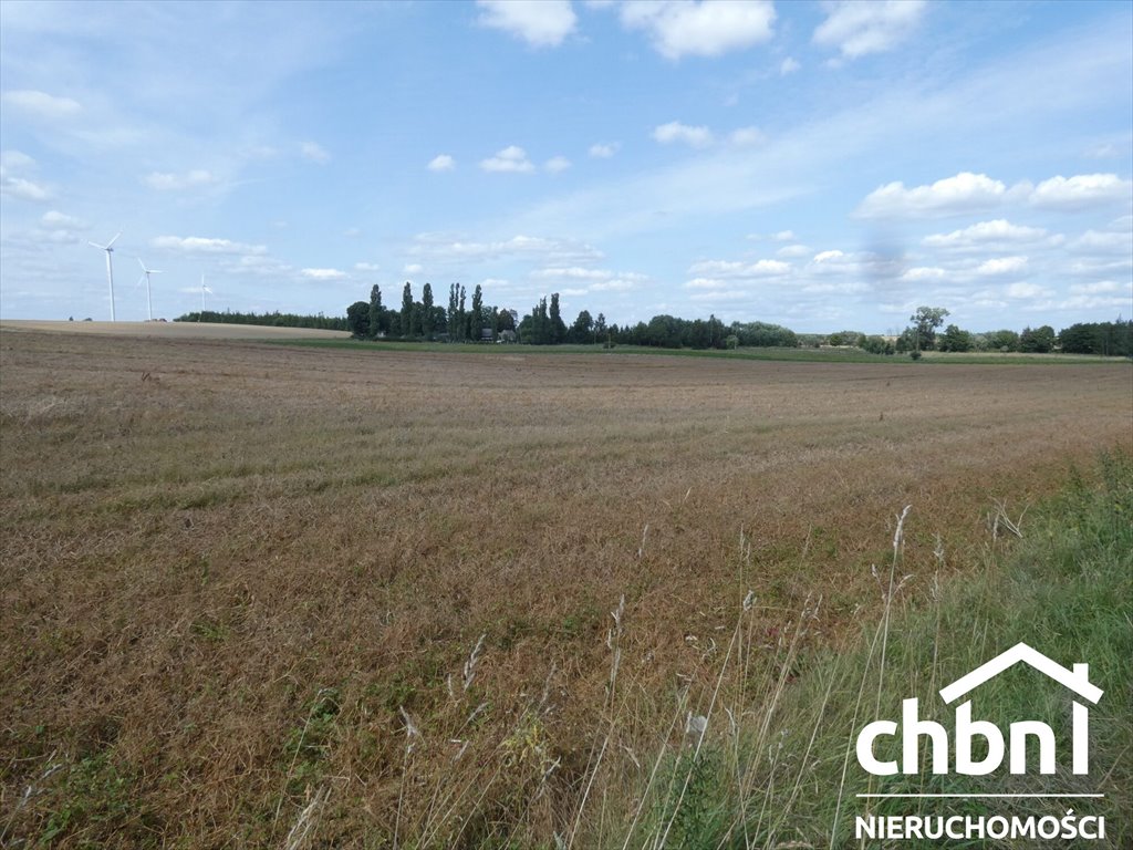 Działka rolna na sprzedaż Racławki  3 000m2 Foto 5