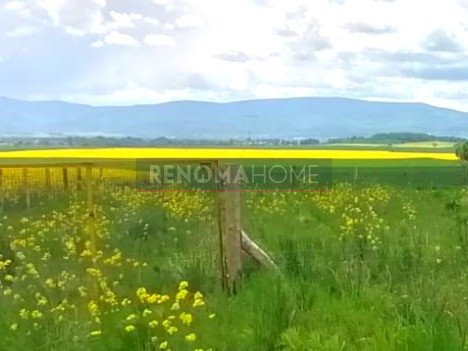 Działka budowlana na sprzedaż Książnica  1 200m2 Foto 2