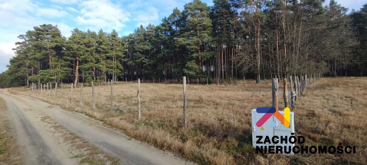 Polecam działkę 1600 m² z warunkami zabudowy w Bronkowie Bronków  1 600m2 Foto 1