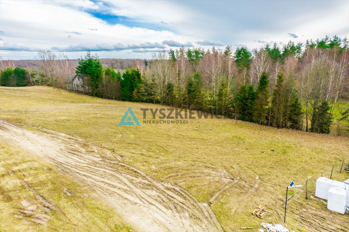 Działka budowlana na sprzedaż Łąkie, Cechyny  3 003m2 Foto 7