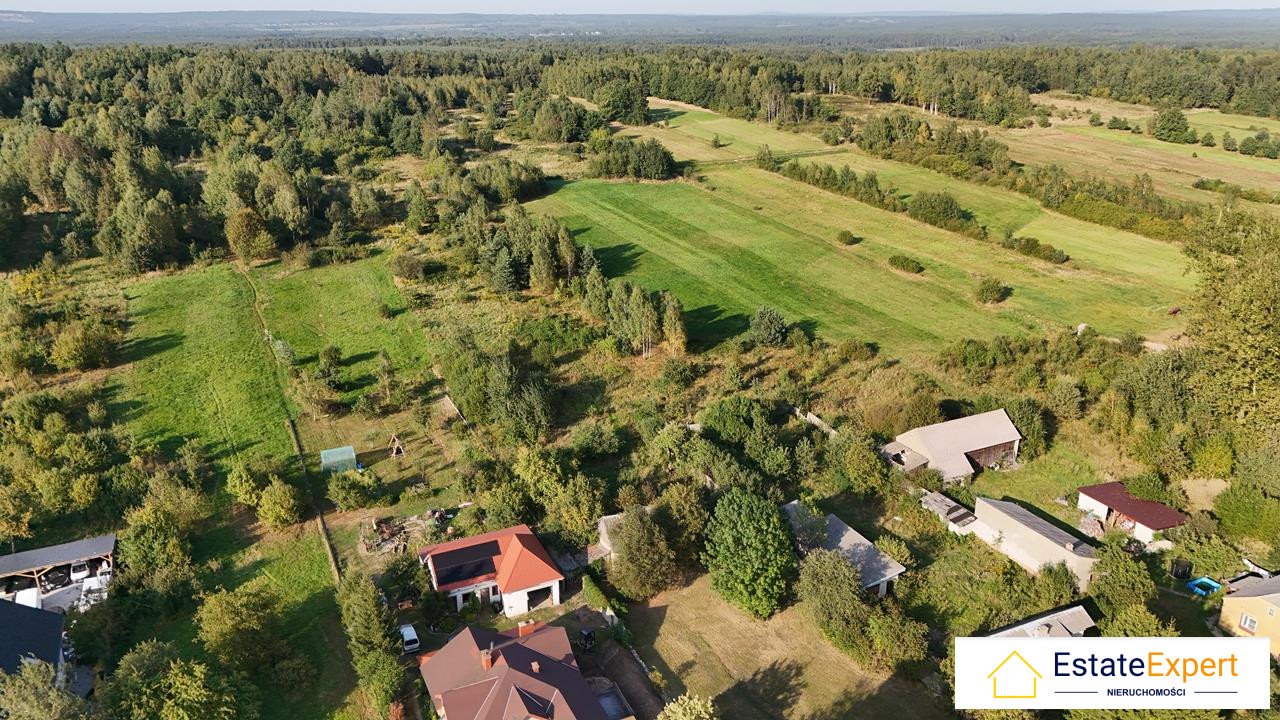 Działka budowlana na sprzedaż Serbinów  7 880m2 Foto 5