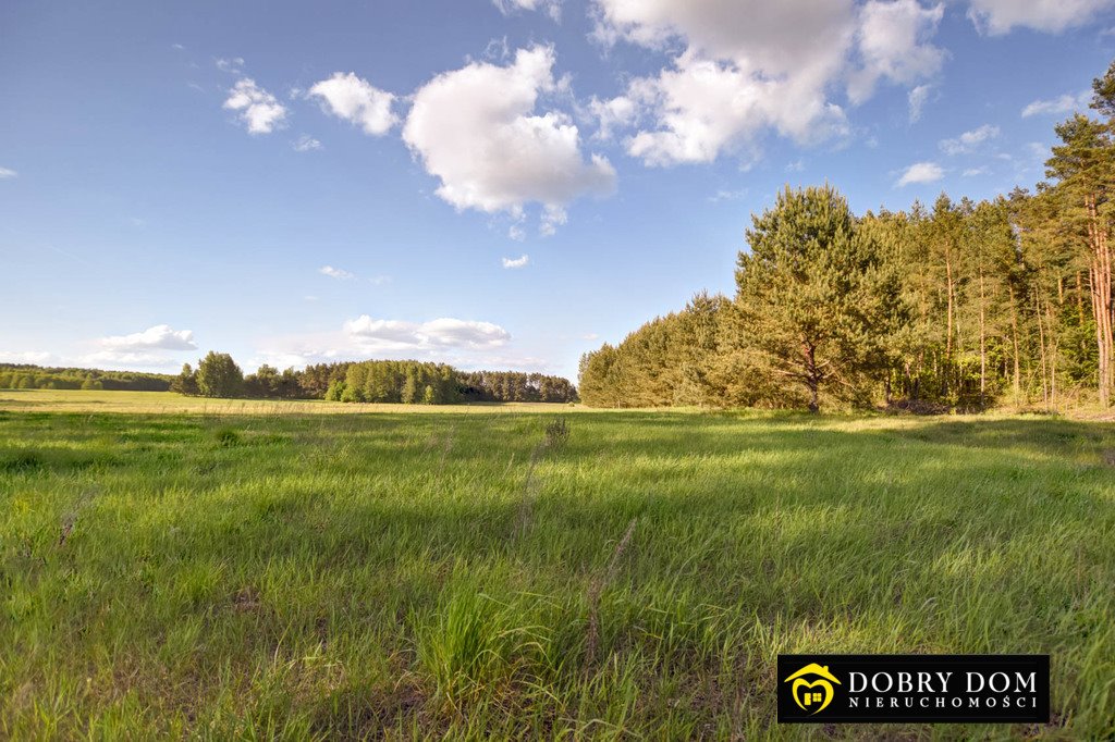 Działka budowlana na sprzedaż Koźliki  1 038m2 Foto 2