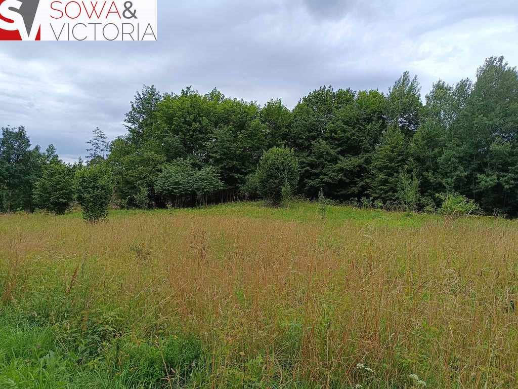 Działka inna na sprzedaż Olszyniec  4 900m2 Foto 5